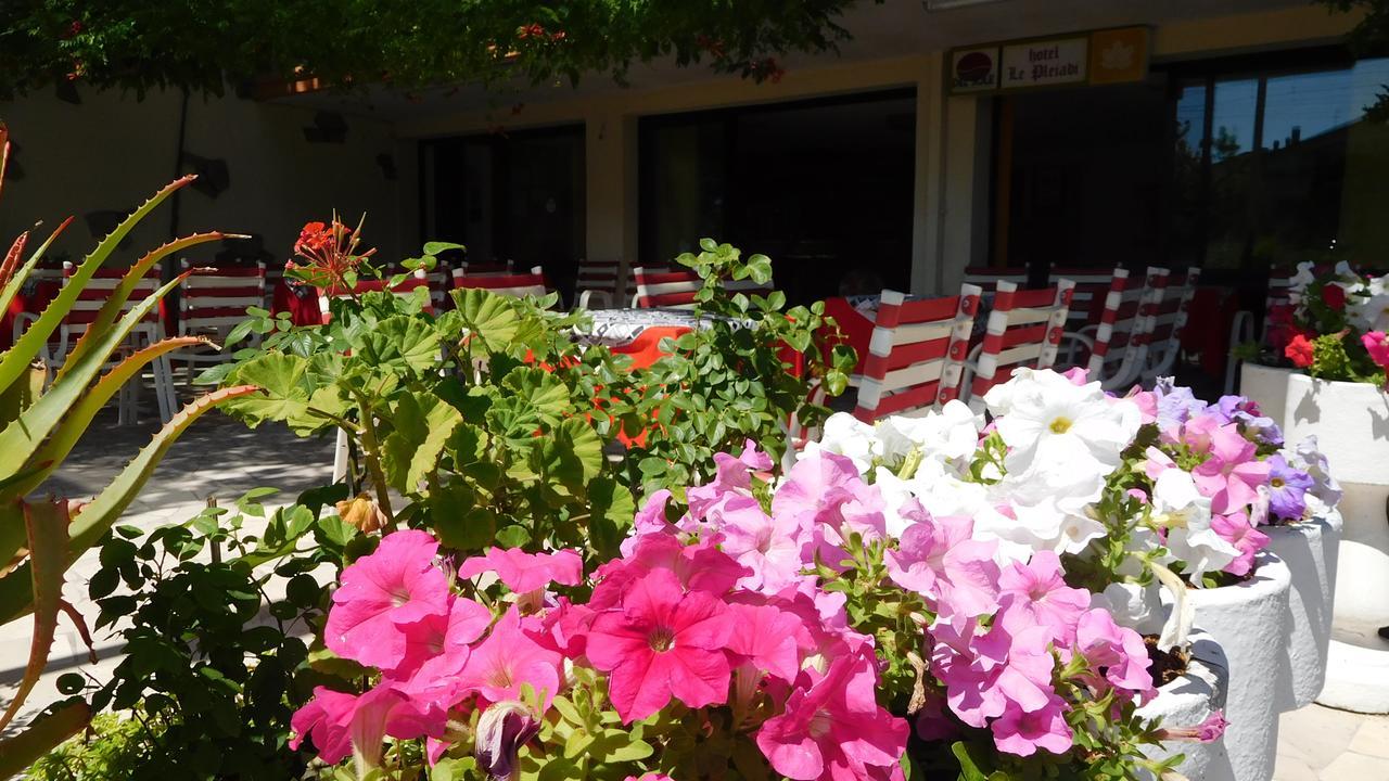 Hotel Le Pleiadi بيلاريا-إيجيا مارينا المظهر الخارجي الصورة